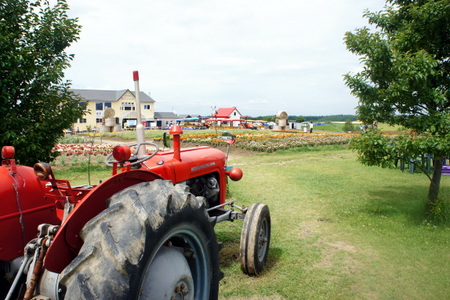 c0148705_2151519.jpg