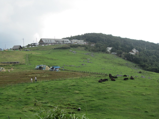 a0100706_20403235.jpg