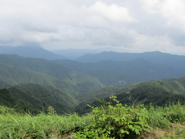 a0100706_204184.jpg