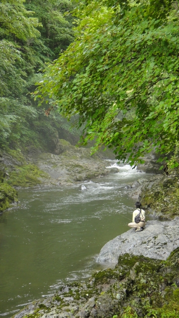 d0051707_76033.jpg