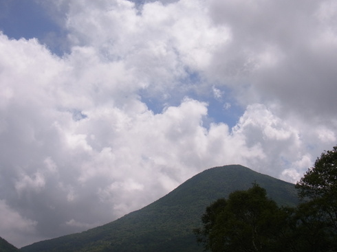 長野                 　　　　　　　　ベニヒカゲ他2012/08/12②_d0251807_8114333.jpg