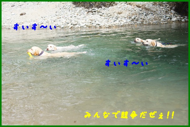 そら家の夏休み　Vol.４　～またまた水遊び 編～_d0250709_1641176.jpg