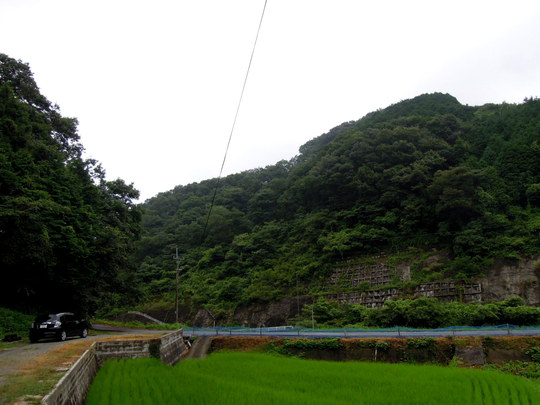a0158613_13571796.jpg