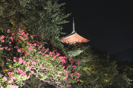 清水寺 千日詣り_e0048413_232051.jpg