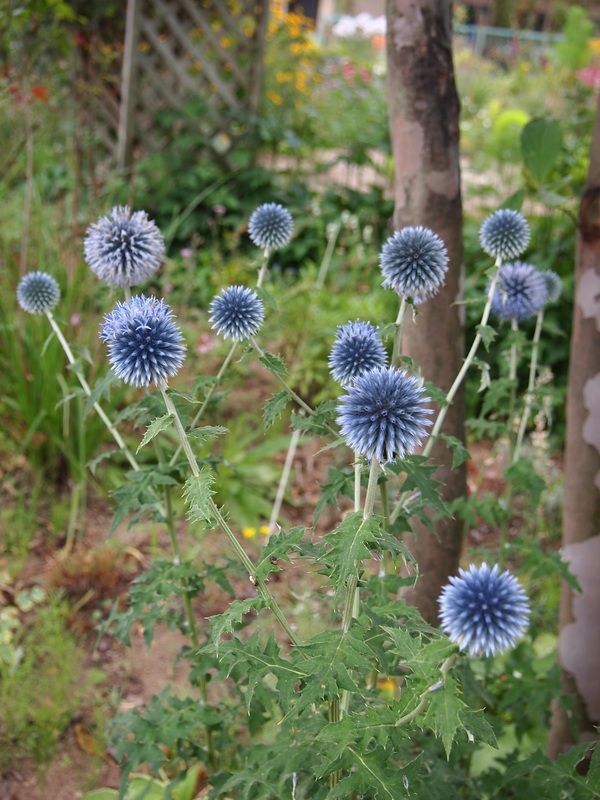 d0183417_23273041.jpg
