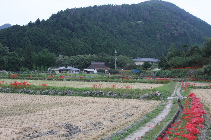 初秋の大原の里（前編）_b0169330_7443875.jpg