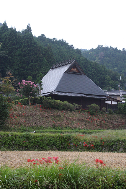 初秋の大原の里（前編）_b0169330_7454050.jpg