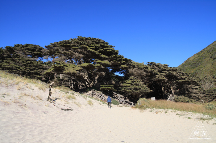 249 Pfeiffer Beach ~ガーネットの砂浜~_c0211532_2212220.jpg