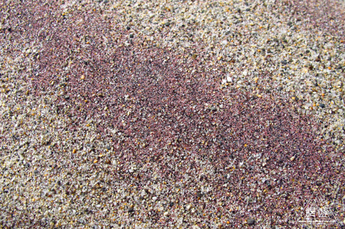 249 Pfeiffer Beach ~ガーネットの砂浜~_c0211532_2233288.jpg