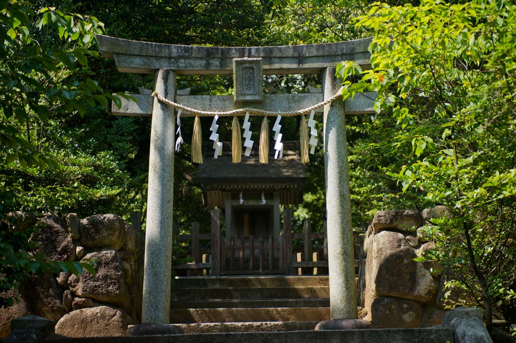 宇美八幡宮　５　福岡県糟屋郡宇美町_b0023047_5354822.jpg