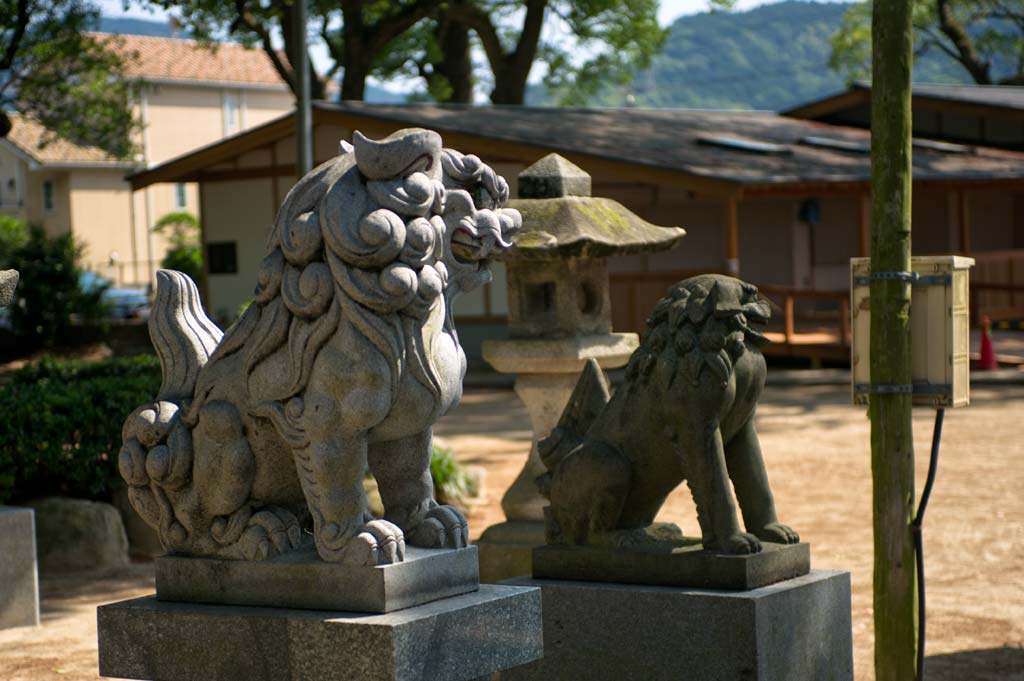 宇美八幡宮　６　福岡県糟屋郡宇美町_b0023047_5401588.jpg