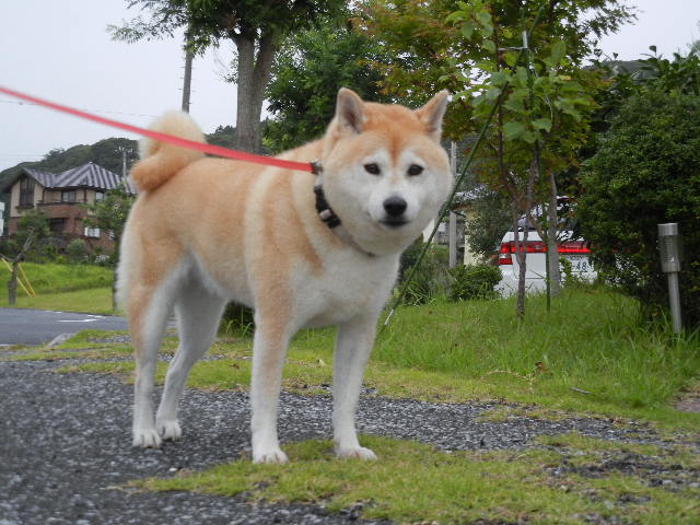 ’12,8,14(火)ムシムシの日!_f0060461_1139406.jpg