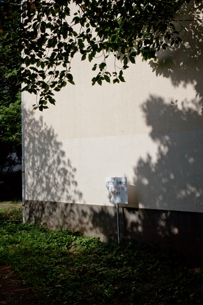 2012/08/14 アサジュー_b0171364_10175614.jpg