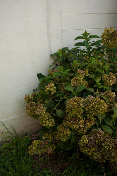 2012/08/14 アサジュー_b0171364_1019194.jpg
