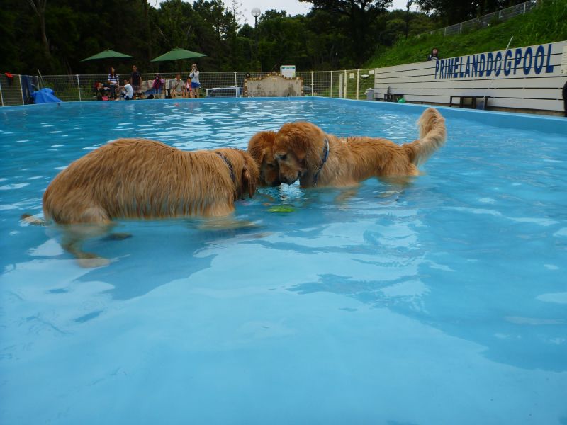 雨！_c0199365_1931947.jpg