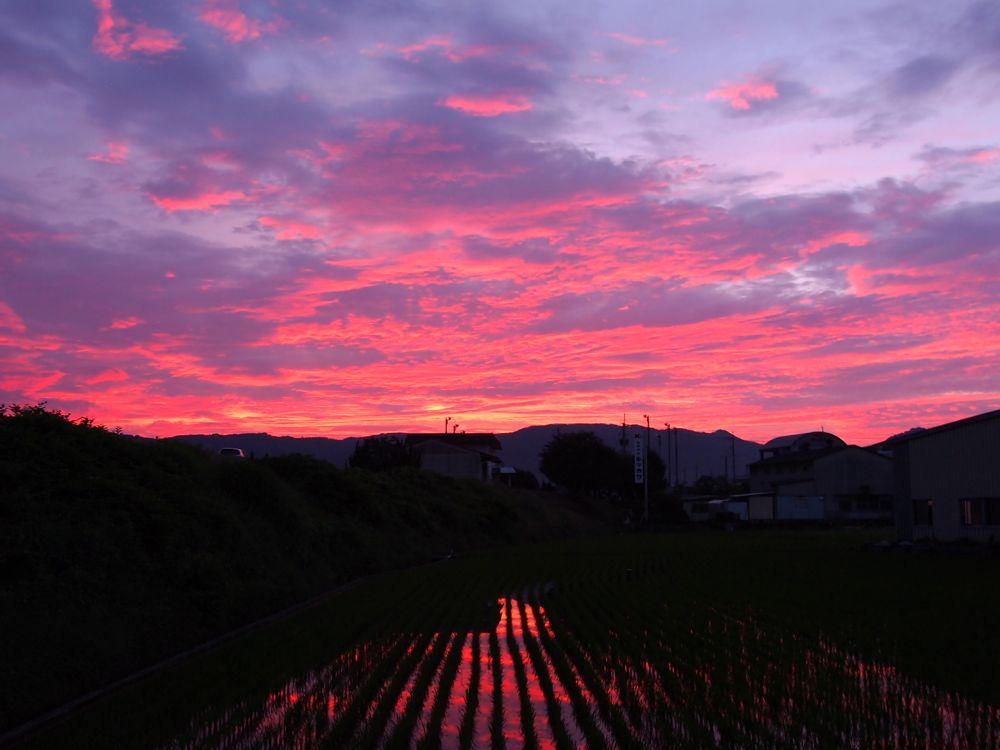 河口大橋（河口堰）から望む夕景_b0222467_10464811.jpg