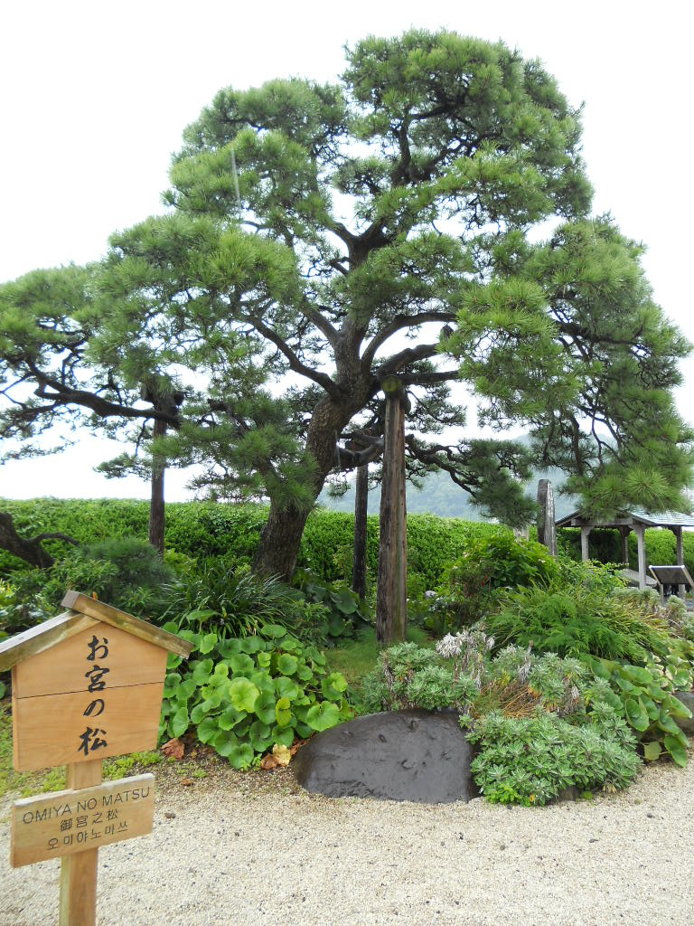 a0066869_10585830.jpg