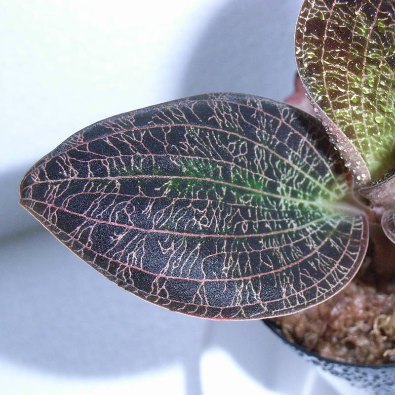 d0249970_11549.jpg