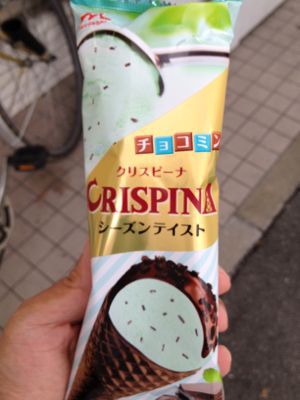 チョコミントアイス発見！_a0019074_15144531.jpg