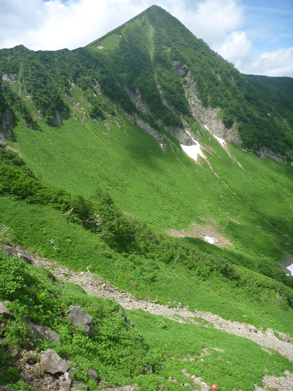 【山行部】山スキー沢～札内岳、エサオマン川本流～エサオマン岳(2012年7月28-29日）_a0141678_89584.jpg