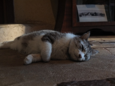 DAY OFF:トレモロ_a0180681_22524994.jpg