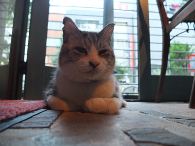 DAY OFF:トレモロ_a0180681_22531425.jpg