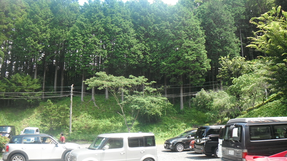 c0064381_057146.jpg