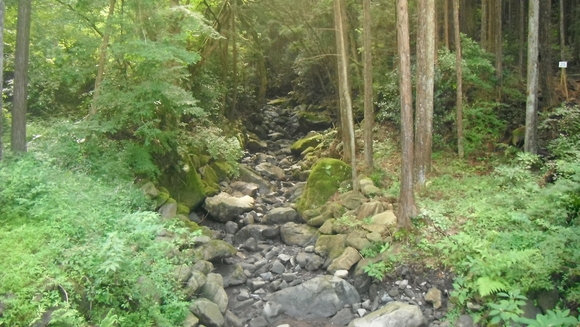 c0064381_10639.jpg