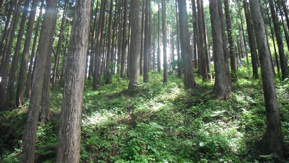 c0064381_111318.jpg