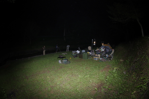 d0159982_15246.jpg