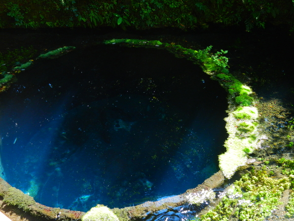 d0224990_1634041.jpg