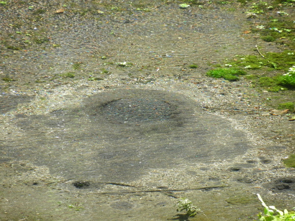 d0224990_1642328.jpg