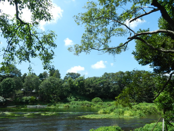 d0224990_164451.jpg