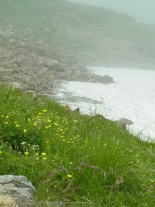 b0208494_02531.jpg