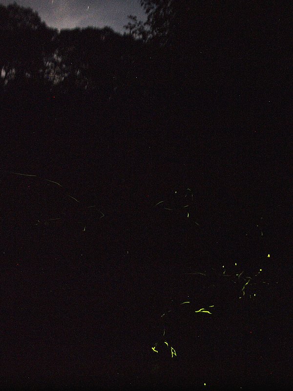 b0231705_8533999.jpg