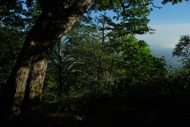 d0051707_23371249.jpg
