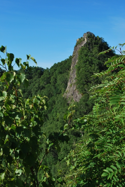 d0051707_23385237.jpg
