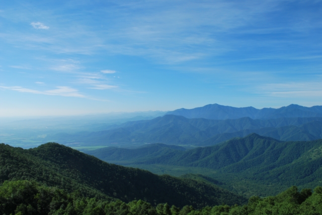 d0051707_23445781.jpg