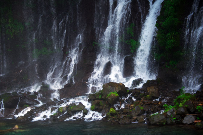 a0263109_1556411.jpg
