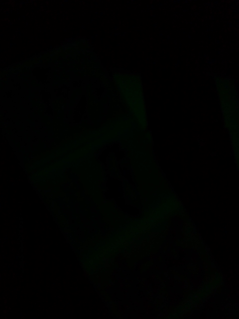 d0012611_21131369.jpg