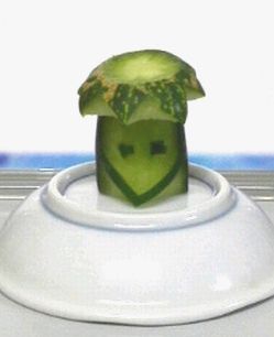 きゅうりへの愛は深し_e0234016_20364057.jpg