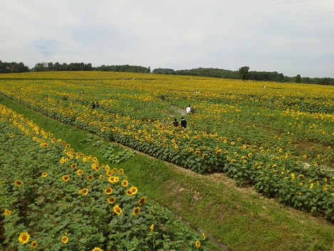 f0053218_11335884.jpg