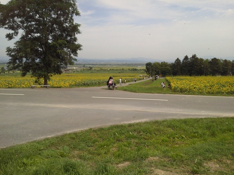 f0053218_11572657.jpg