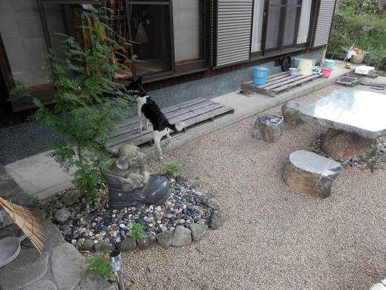 「ご先祖様に報告です」~☆_a0125419_22272494.jpg