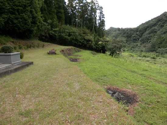 「ご先祖様に報告です」~☆_a0125419_2230404.jpg