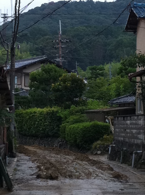 e0110119_9554994.jpg