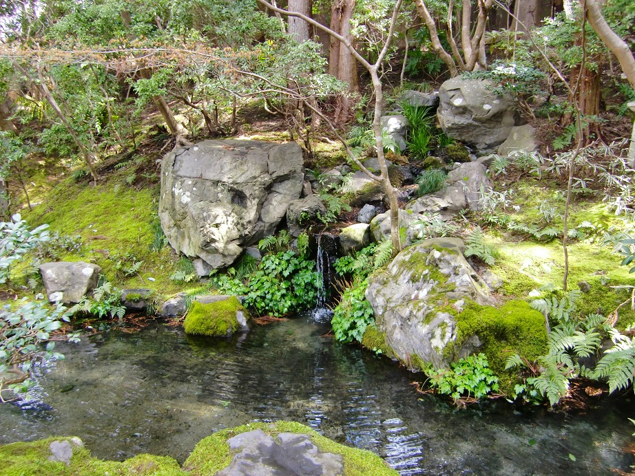 瑠璃光院（京都府京都市左京区）_c0219820_152339100.jpg