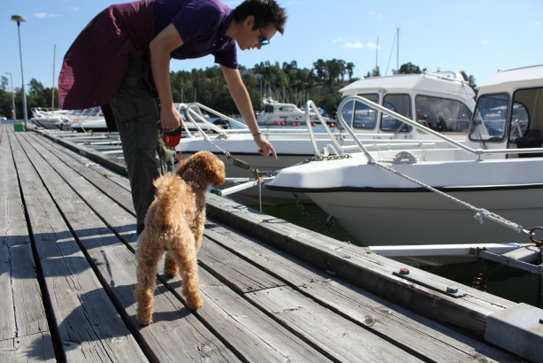 レオン初めてのボートで島のサマーハウスへ　－　Leons första båttur till en skärgårdsö_e0250023_8502796.jpg