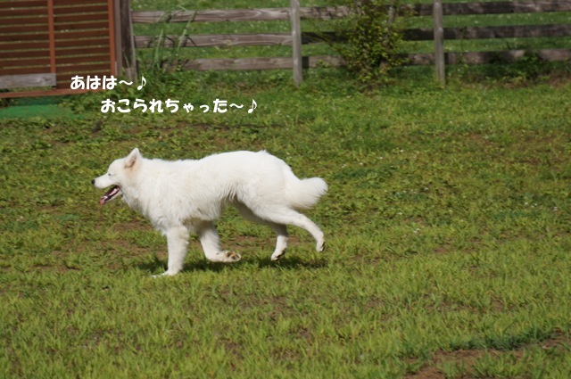 f0234023_839158.jpg