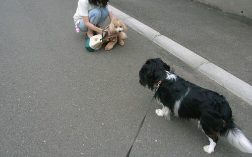 c0051132_22214932.jpg